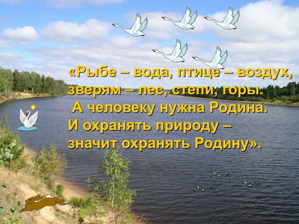 • Рыбам – море, птицам – воздух, а человеку – отчизна. Берегите рыб. Рыбе вода птице воздух. Берегите рыбу и природу. Рыбам нужен воздух