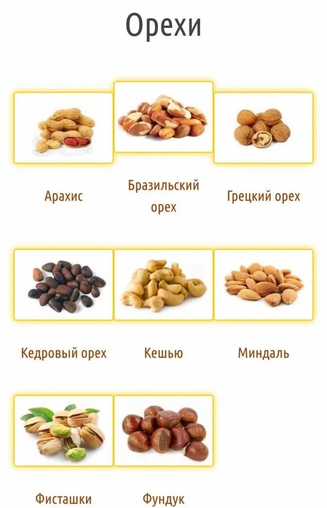 Название орехов. Название орехов с картинками. Орехи названия. Разные орехи с названием. Разные орехи с названием.