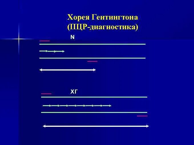 Мета трансляция. Хорея Гентингтона.