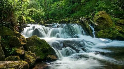 River falls