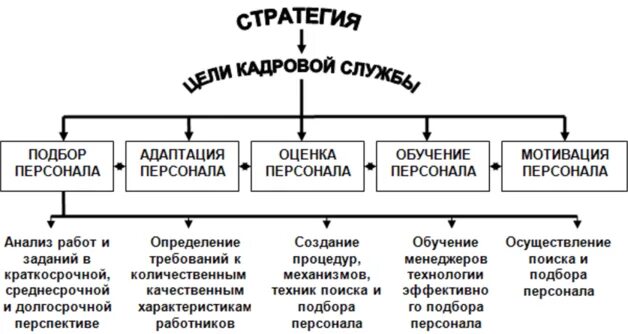 Стратегия развития курсовая. Этапы разработки стратегии управления человеческими ресурсами. Уровни стратегического управления человеческими ресурсами. Классификация стратегий управления человеческими ресурсами. Стратегическое управление человеческим ресурсом.