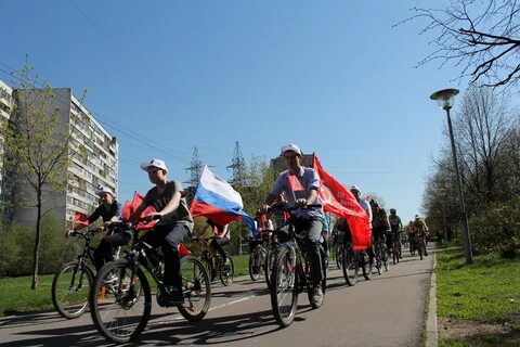 Маи зеленоград
