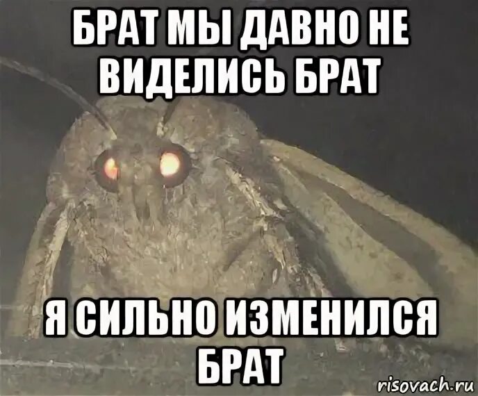 Привет а мы не виделись наверно сто. Привет меня зовут илья. ночная смена мем. привет брат мем. давно не виделись.