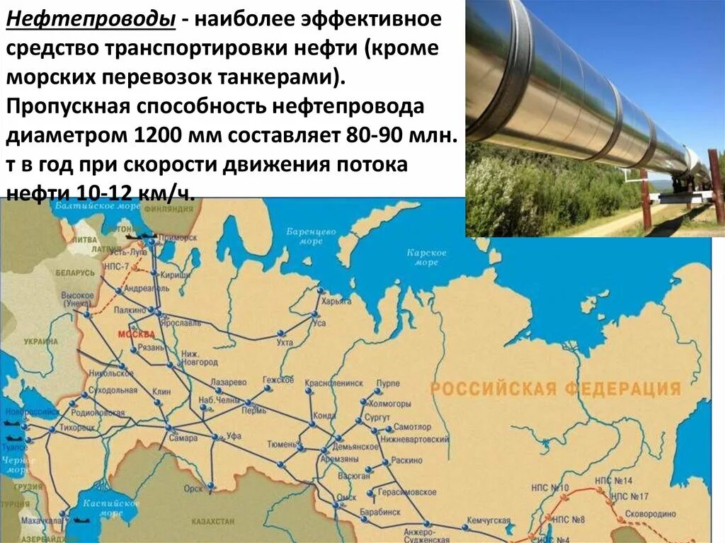 Карта нефтепроводов россии. Нефтепровод Анжеро Судженск Красноярск. Транснефть Сибирь карта нефтепроводов. Нефтепровод Холмогоры Клин. Схема нефтепроводов России.