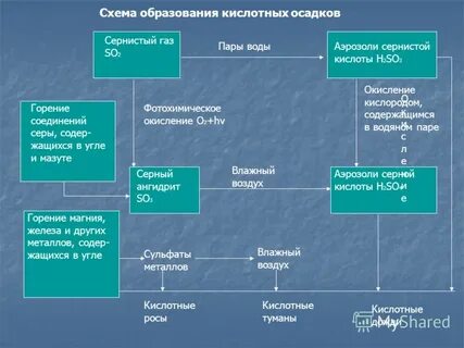Сернистый газ вызывает кислотные дожди