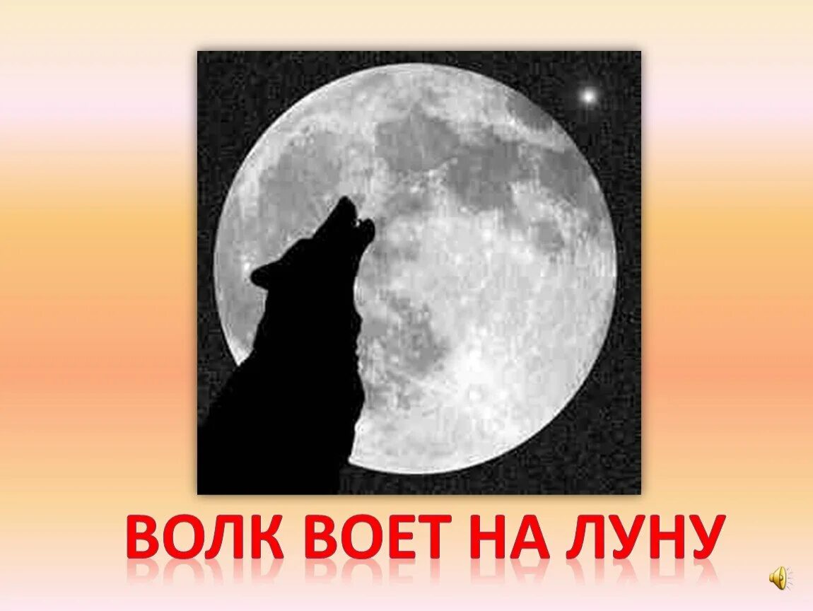 Волками воем на луну песня. Волк воет на луну. Хочется выть на луну. Почему волки воют на луну. Волк воет на луну картинка.