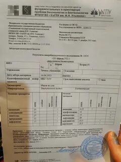 Стафилококк 3 степени