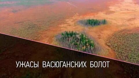 Самое глубокое болото в мире