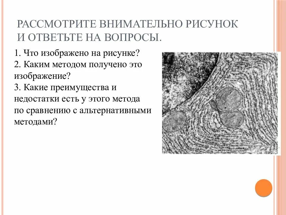 Что изображено на рисунке каким методом. Что изображено на рисунке?. Каким методом получено это изображение. Какие методы изображение на рисунке. Что изображено на рисунке каким методом получено это изображение.