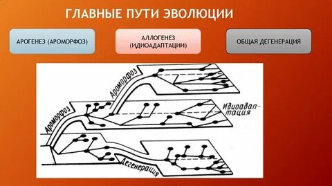 Техника путь