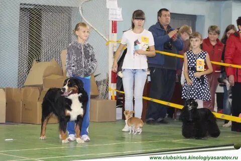 Клуб сириус