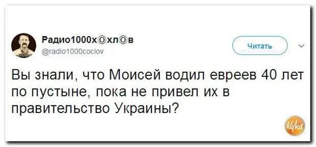 Зачем 40 лет водил по пустыне. Зачем 40 лет водил по пустыне. Анекдоты про пустыню. Статус болею. Зачем 40 лет водил по пустыне.