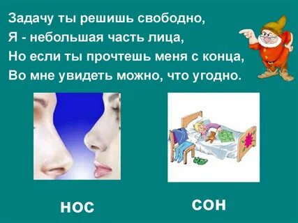 Сон нос