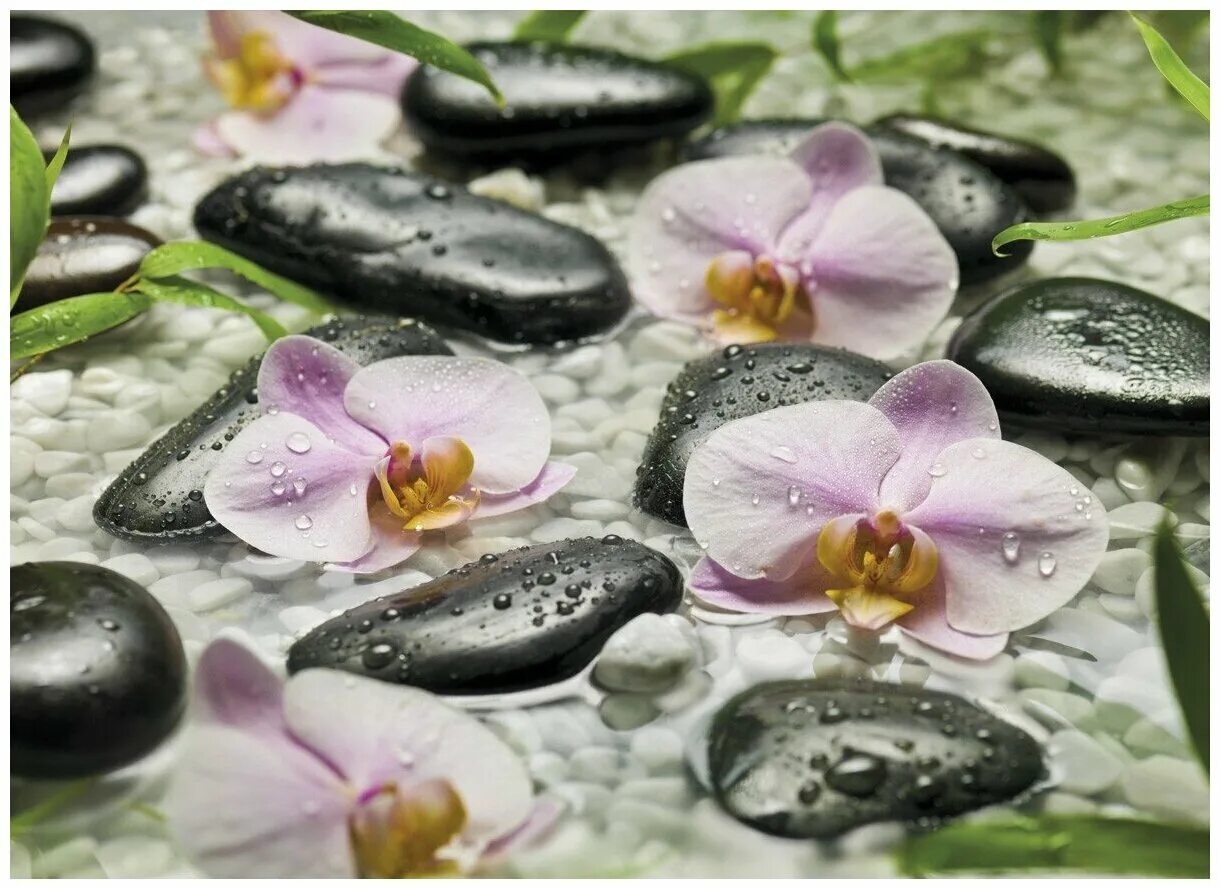 Mongoose ls 7000d брелок. камерон круз актриса. 318. кран шаровой со сгоном гайкой (пара) тим (m318-4) на 1". 4.