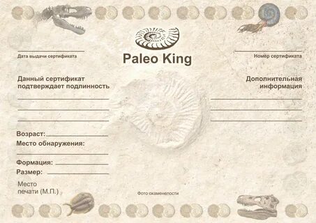 Где взяли сертификат