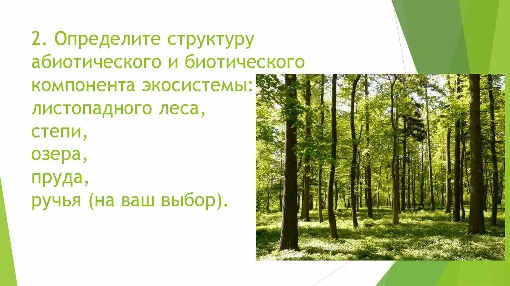 Абиотические факторы лиственного леса. Биотические факторы широколиственного леса. Смешанные леса абиотический компонент. Биотическими компонентами экосистемы леса. Смешанный лес факторы