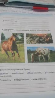 Выбери 2 примера которые иллюстрируют