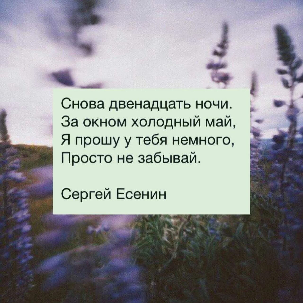 Стих со строчками. Стихи. красивые строки из стихов. красивые строчки из стихов. цитаты из стихов.