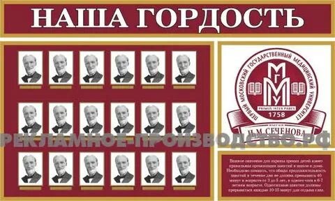 Наша гордость 31