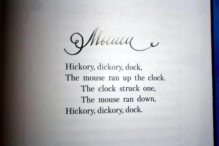 цветы на страницах книг. книга стихов на английском. поэзия картинки. стихотворения английских поэтов. стихи на английском.