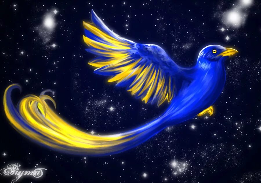 Синяя птица счастья. Птица счастья. Синяя птица конкурс церковное пение. Бело голубая птица. Поймать синюю птицу.