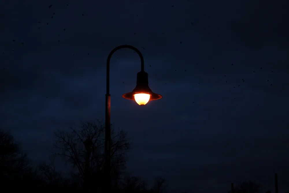 Lamp Post. Night Lamp. Ночь фонарные столбы человек мистика. Призрак девушки столб фонарный.