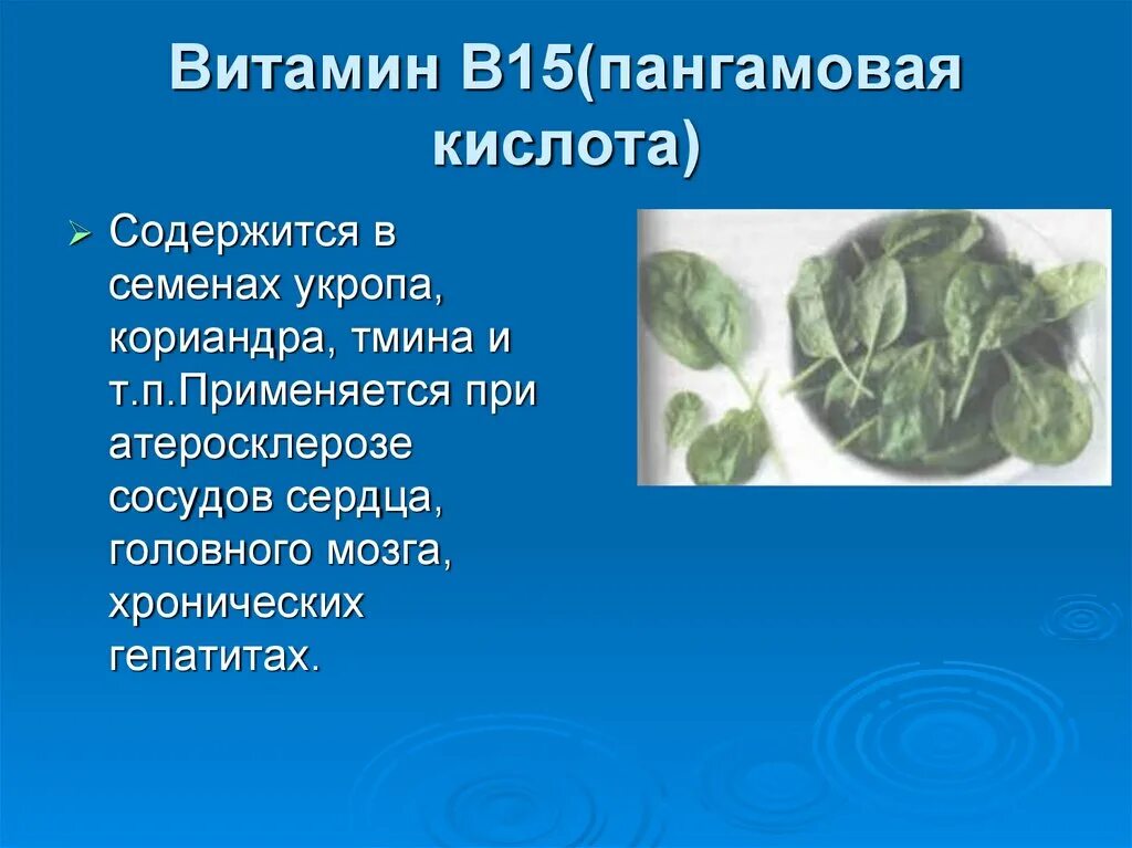 В чем содержится б 17. Авитаминоз витамина б15. витамин в-17 в каких продуктах содержится больше всего. в чем содержится витамин в17. витамин в-17 в каких продуктах содержится больше.