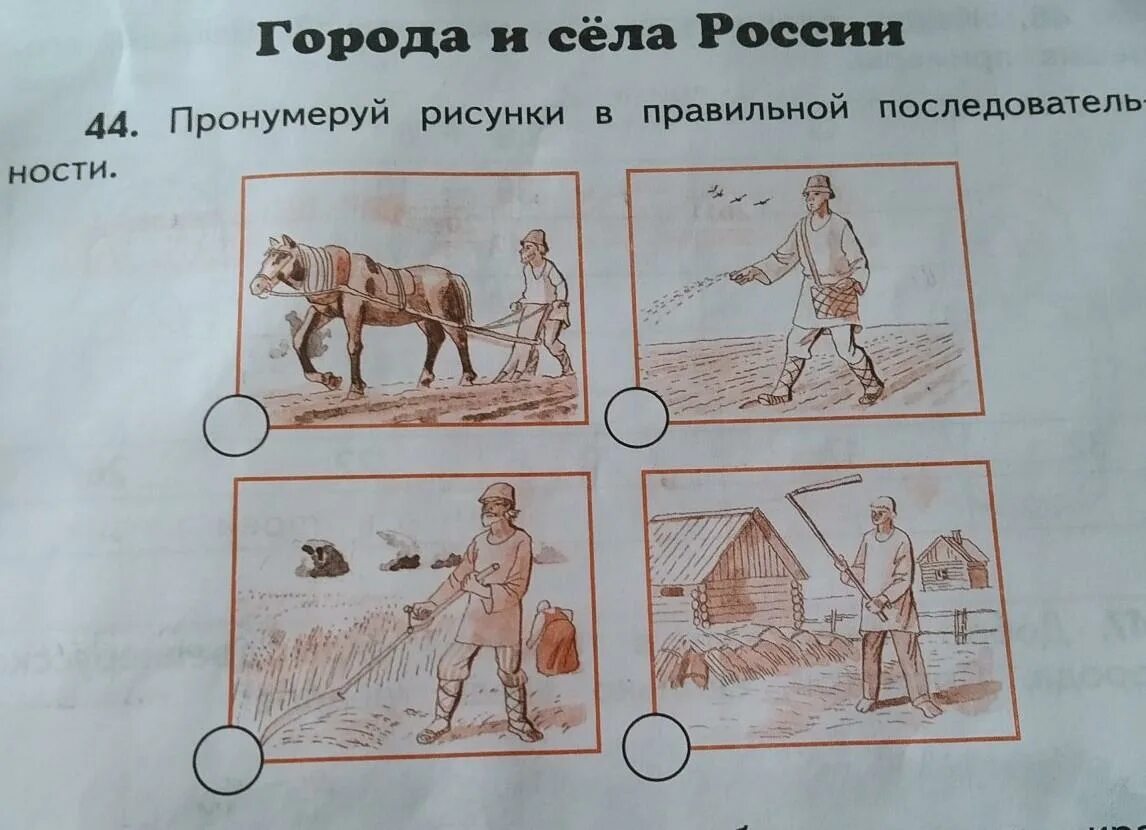В каком порядке расположены рисунки. Пронумеруй рисунки в правильной последовательности. пронумеруй иллюстрации в правильном порядке. пронумеруй рисунки в правильной последовательности окружающий мир. правильная последовательность в рисунках.