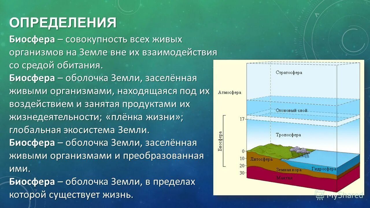 Литосфера и живые организмы. Биосфера и ее составные части. Литосфера гидросфера атмосфера биосфера. Строение биосферы земли. Биосфера это в географии.