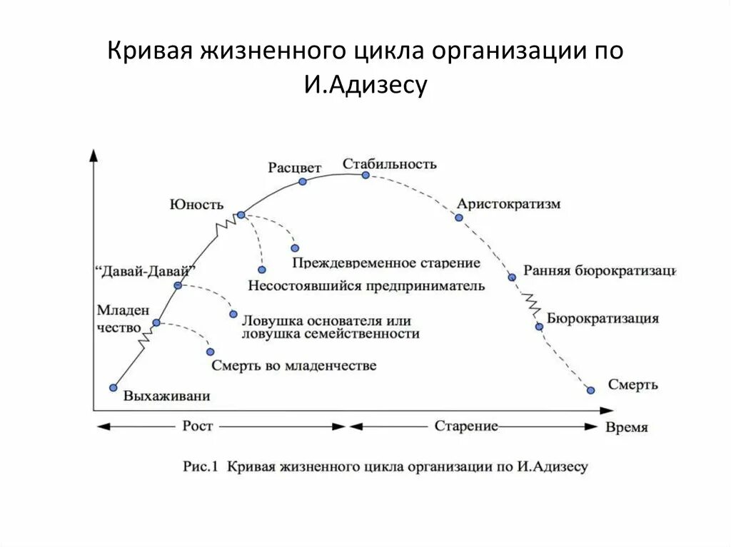 Жизненный цикл культуры. Кривая жизненного цикла организации по Адизесу. Ицхак Адизес модель жизненного цикла. Этапы жизненного цикла Адизес. Кривой жизненного цикла организации по и. Адизесу.