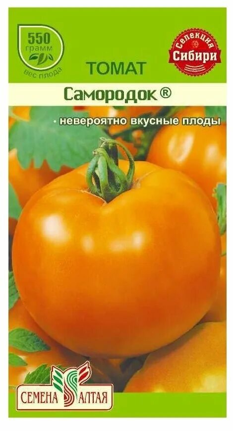 Золотой алтай томат. Семена томата золотой самородок. Семена томат золотой Алтын семена Алтая. Томат самородок семена Алтая. Томат самородок 0,05г.