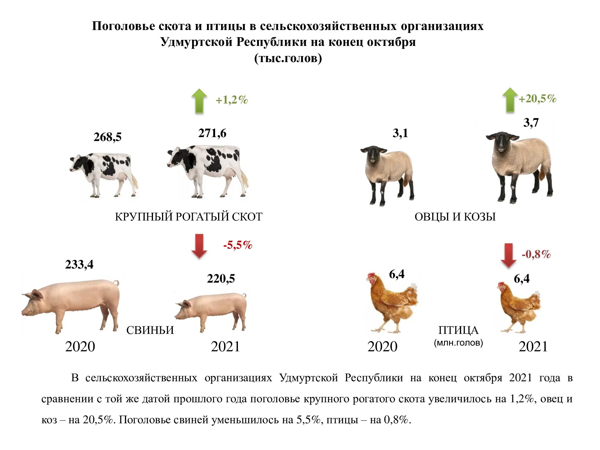 Поголовье скота. Поголовье скота и птицы в России. Поголовье КРС. Поголовье овец в России в 2021 году.