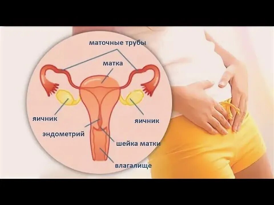 Истощенные яичники психосоматика. Психосоматика матка и яичники женских заболеваний. Психосоматика яичники у женщин. Маточное бесплодие лечение.