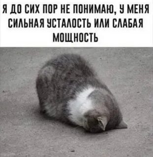 Не прекращаются до сих пор