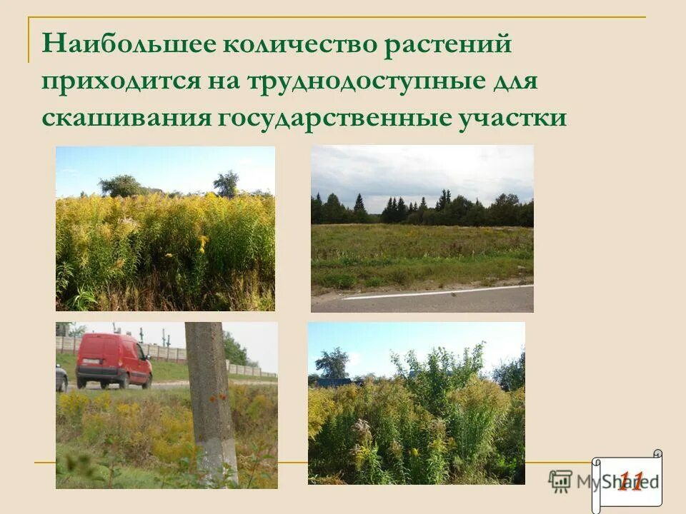 количество видов животных. самое большое число видов приходится на растения. числа в виде животных. какое из утверждений верно из общего числа видов организмов. число видов растений.