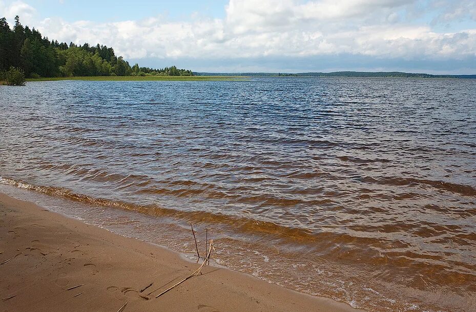 Песчаная коса Городомля. Остров Городомля. Остров Городомля на Селигере. Остров хачин на Селигере.