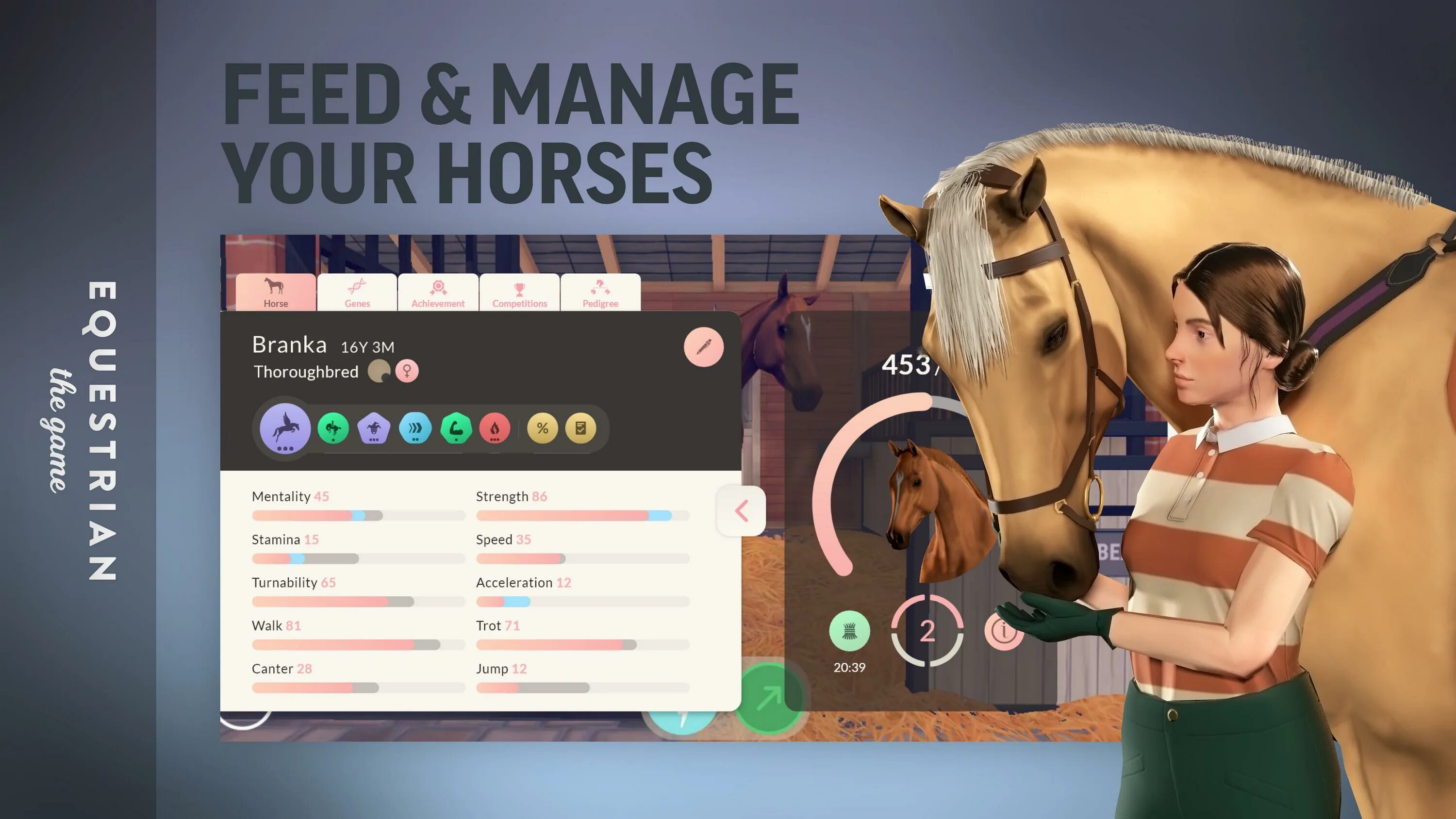 Equestrian the game. Игра про лошадей Equestrian. Lucinda Green's Equestrian Challenge. Equestrian the game на андроид