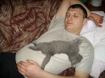 Почему кошки спят на людях ночью