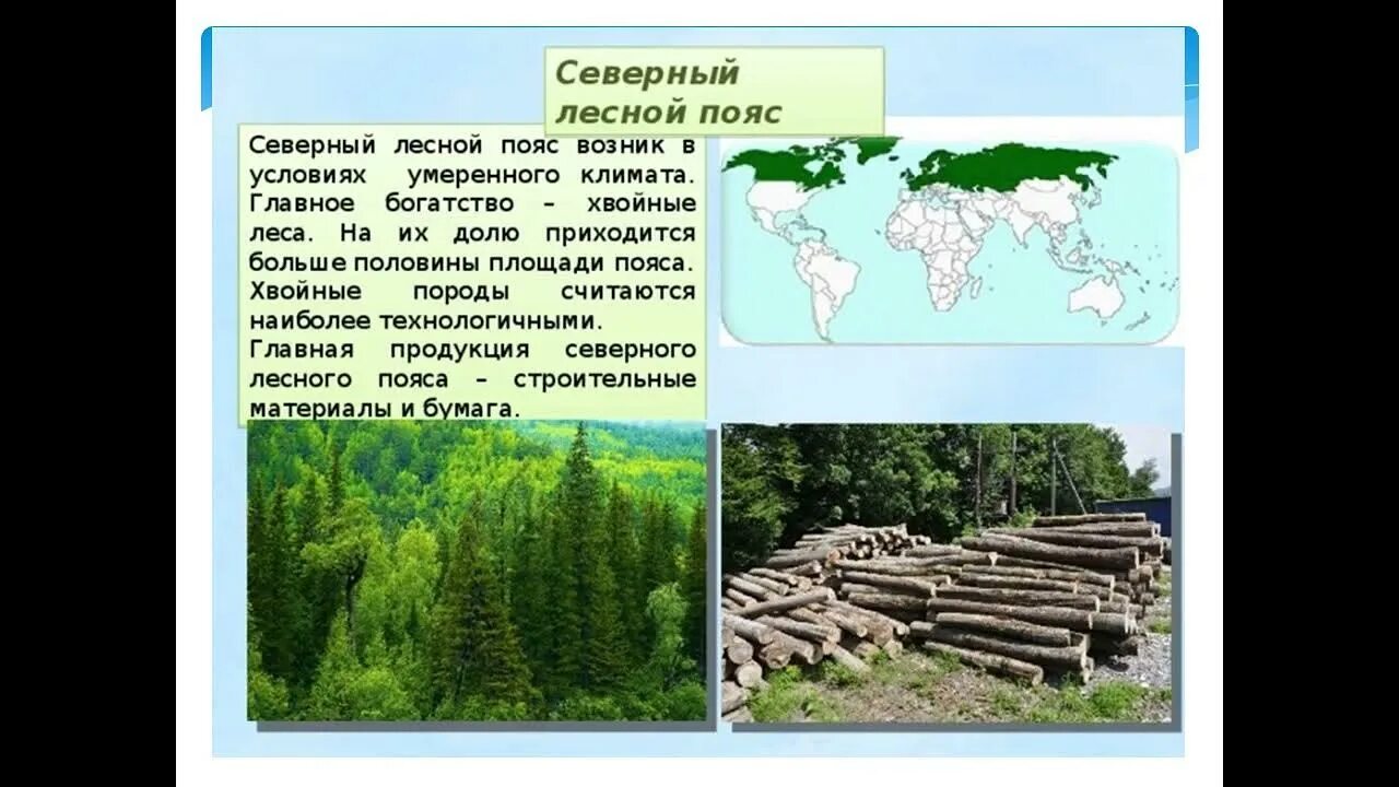 Северный Лесной пояс. Северный Лесной пояс на карте. Северный и Южный Лесной пояс на карте. Богатство северных лесов.