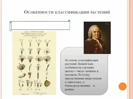 Система животных искусственная система
