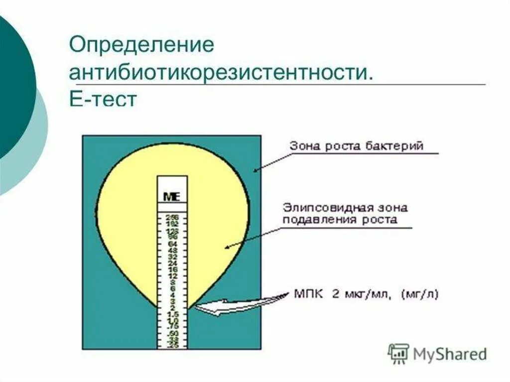 Е-тесты метод определения чувствительности к антибиотикам. Е-тесты для определения чувствительности. Определение чувствительности бактерий к антибиотикам е тест. Е тест микробиология антибиотики.