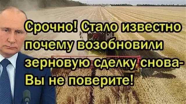 Возобновить почему о. Возобновить почему о