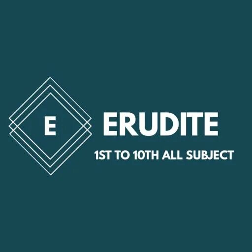 Erudite для андроид. Riphus erudite. Digital erudite. Erudite Education School.