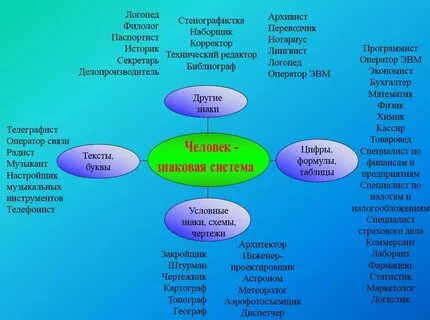 Профориентация сферы