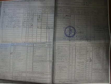 Похозяйственная книга сельского совета