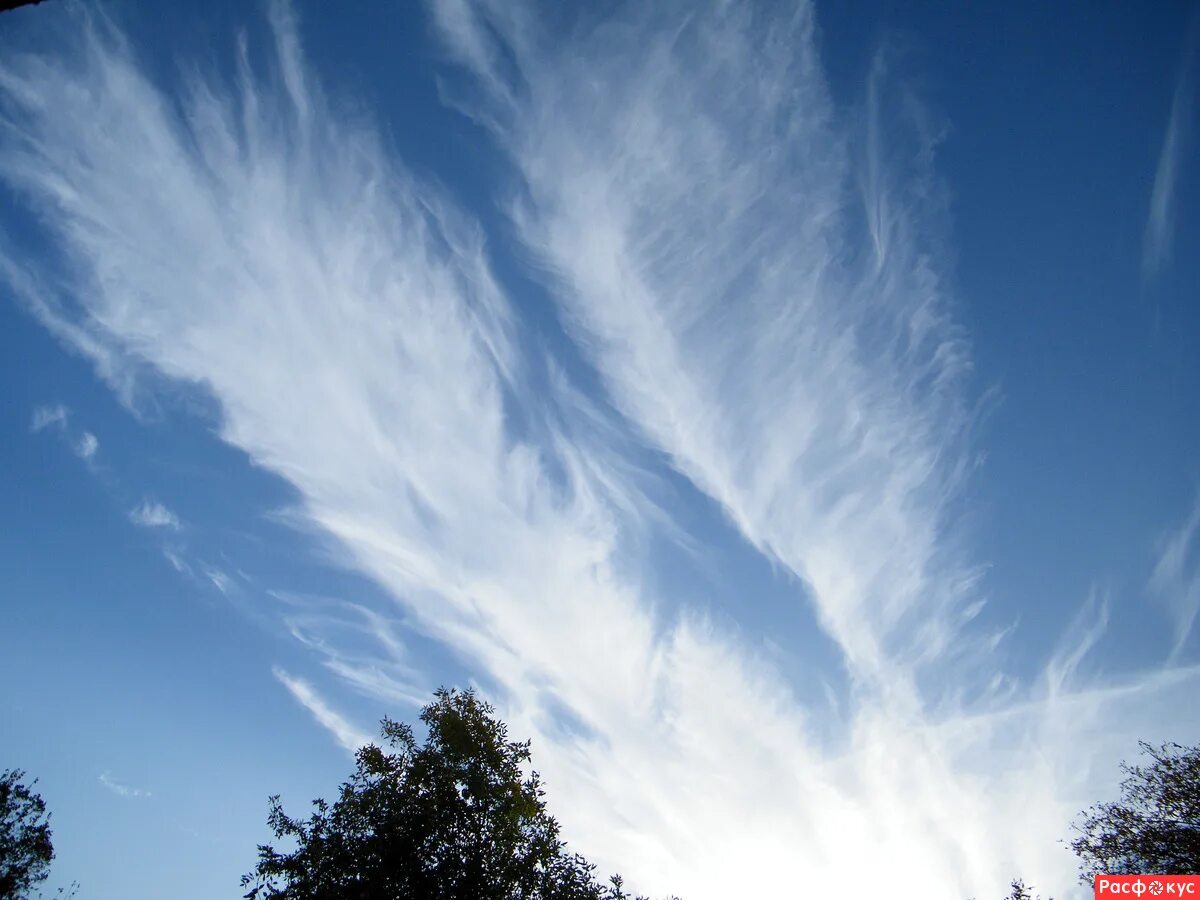 Edit free photo of Clouds,unique form of clouds,cloudy sky,nature,sky - needpix.