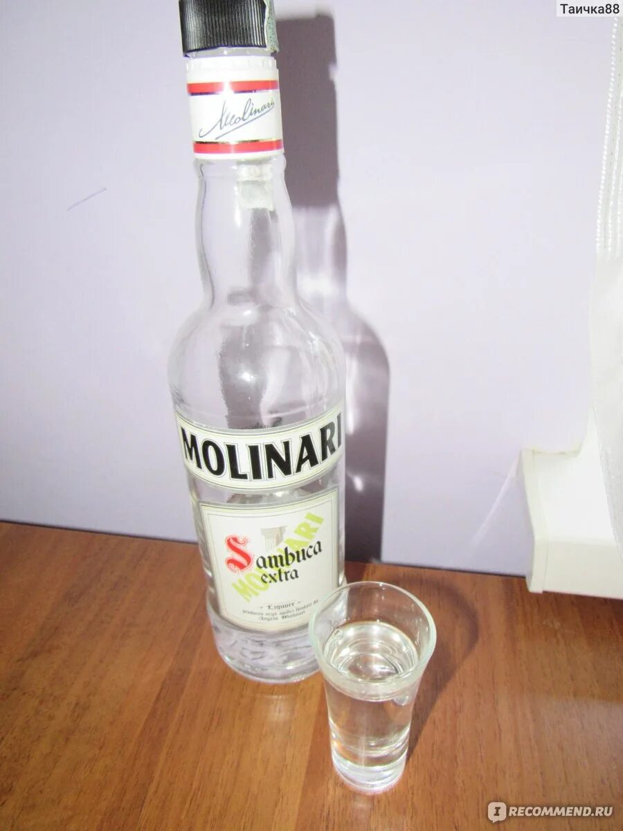 Катя самбука концерт 2020. Самбука сказка спид ап. Sambuka катя. Катя самбука клипы. Ликер самбука molinari.