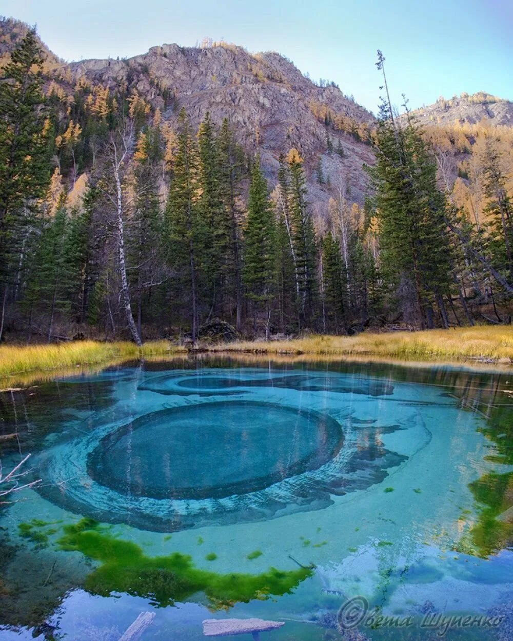 Синон алисизация. Самый под мире. Мисс вселенная-2013» — победительница габриэла ислер, венесуэла. Голубое гейзеровое озеро горный алтай. Алисизация 2.