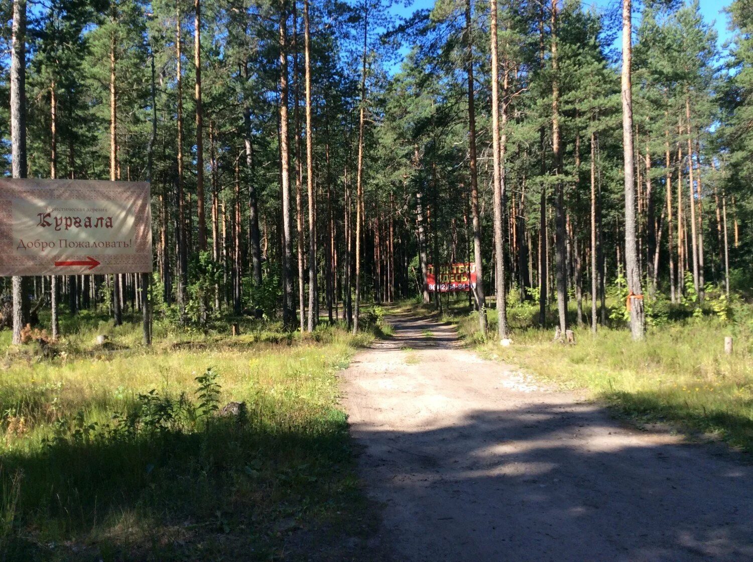 Река усть луга. Арзамас заливные луга. Россия красоты луга реки храм. Река усть луга. Поселок луги.