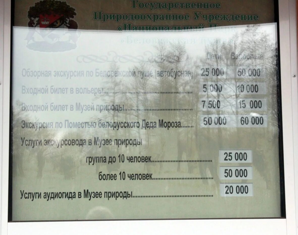 300 Автобус от Беловежской. Брест-Беловежская пуща расписание автобусов. Расписание 300. Расписание автобуса 300 на 8 мая от ул Беловежской до. Расписание 300 маршрутки